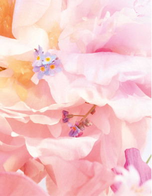 Miss Dior Blooming Bouquet Edt